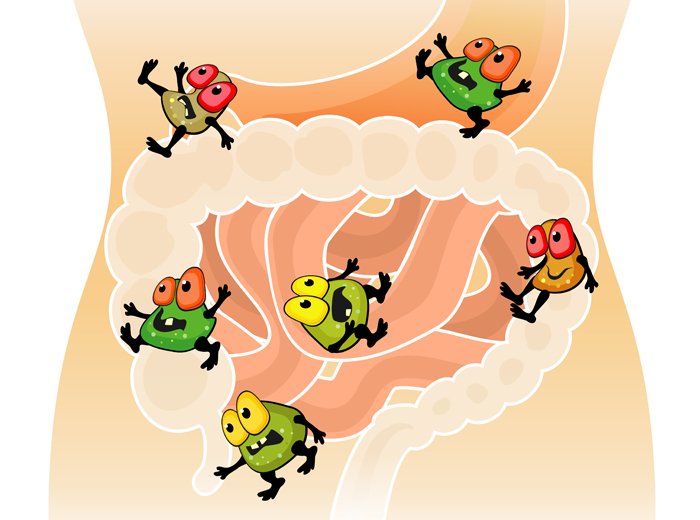 Holistic Approach to Designing Immune-Boosting Products Holistic Approach to Designing Immune-Boosting Products