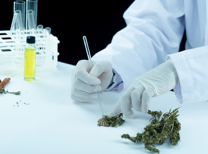 Fundamental Lab Equipment for Cannabis Testing and Extraction Fundamental Lab Equipment for Cannabis Testing and Extraction