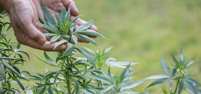 The Most Recently Enforced Regulations The Most Recently Enforced Regulations