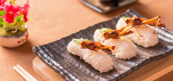 Future Food Trend Insight for Food Industry and Food Business      Future Food Trend Insight for Food Industry and Food Business