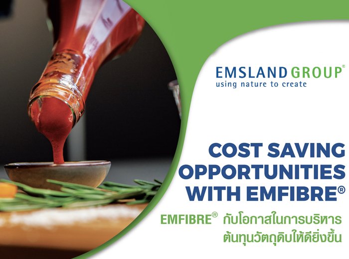 COST SAVING OPPORTUNITIES WITH EMFIBRE® COST SAVING OPPORTUNITIES WITH EMFIBRE®