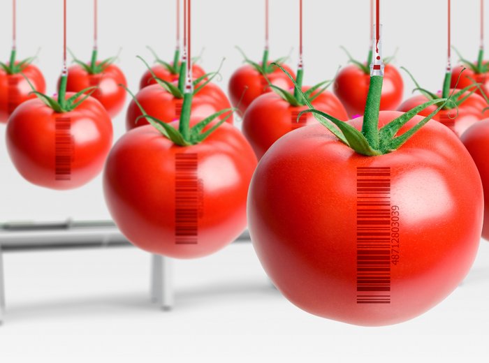 Traceability for Transparency in Food Supply Chain in Thailand Traceability for Transparency in Food Supply Chain in Thailand