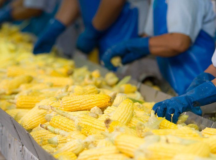 Inspection of Genetically Modified Food Products Inspection of Genetically Modified Food Products