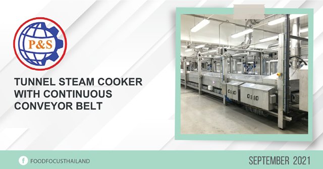 Tunnel Steam Cooker with continuous conveyor belt