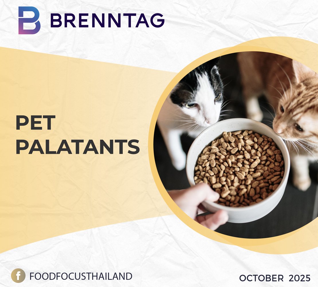PET PALATANTS