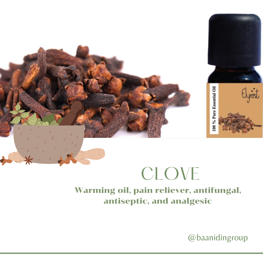 Clove Essential Oil ( Syzygium aromaticum ) Clove Essential Oil ( Syzygium aromaticum )