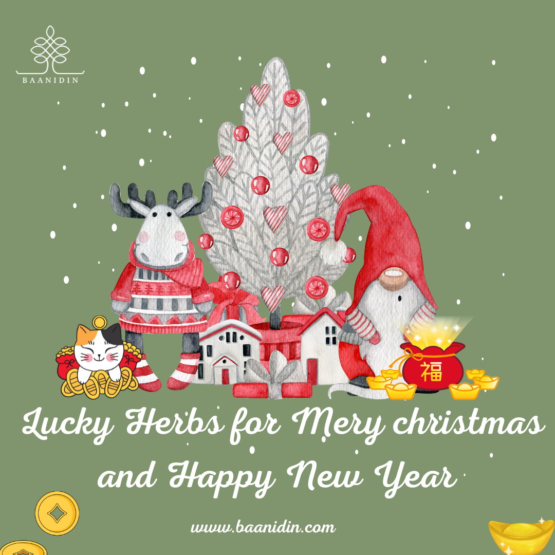 Lucky Herbs for Christmas and New Year Lucky Herbs for Christmas and New Year
