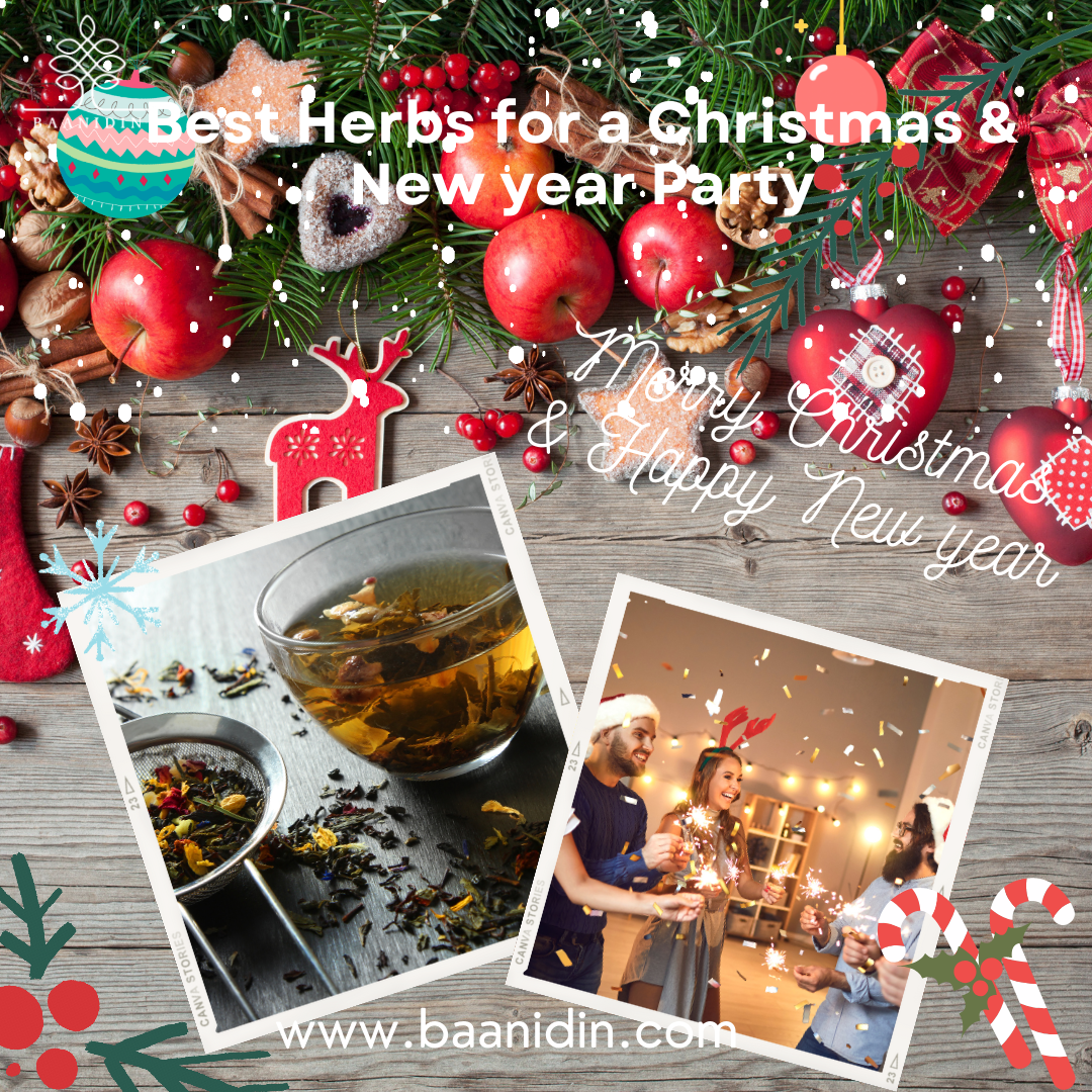 Best Herbs for a Christmas and New year Party Best Herbs for a Christmas and New year Party