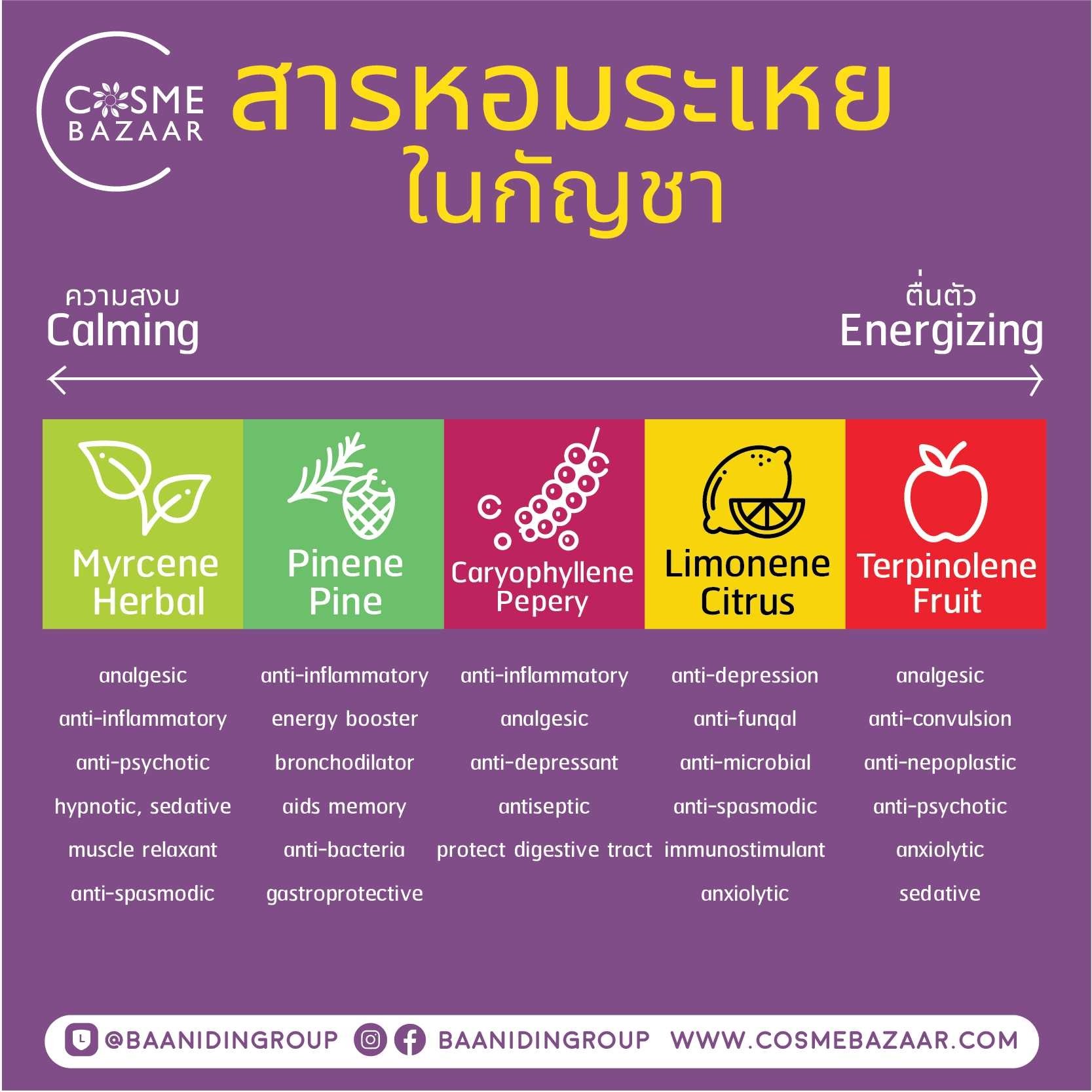 สารหอมระเหยในกัญชา สารหอมระเหยในกัญชา