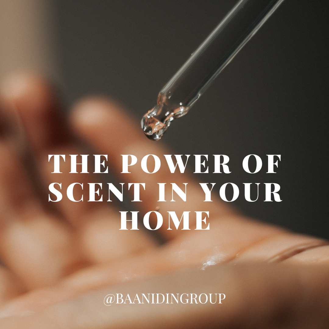 Scentnt The Power of Scent in Your Home