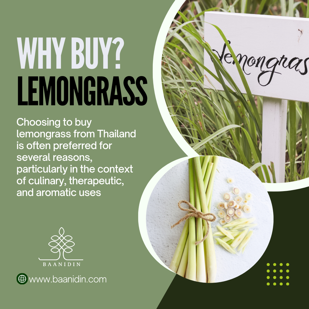 why have to buy lemongrass from THAILAND ? why have to buy lemongrass from THAILAND ?