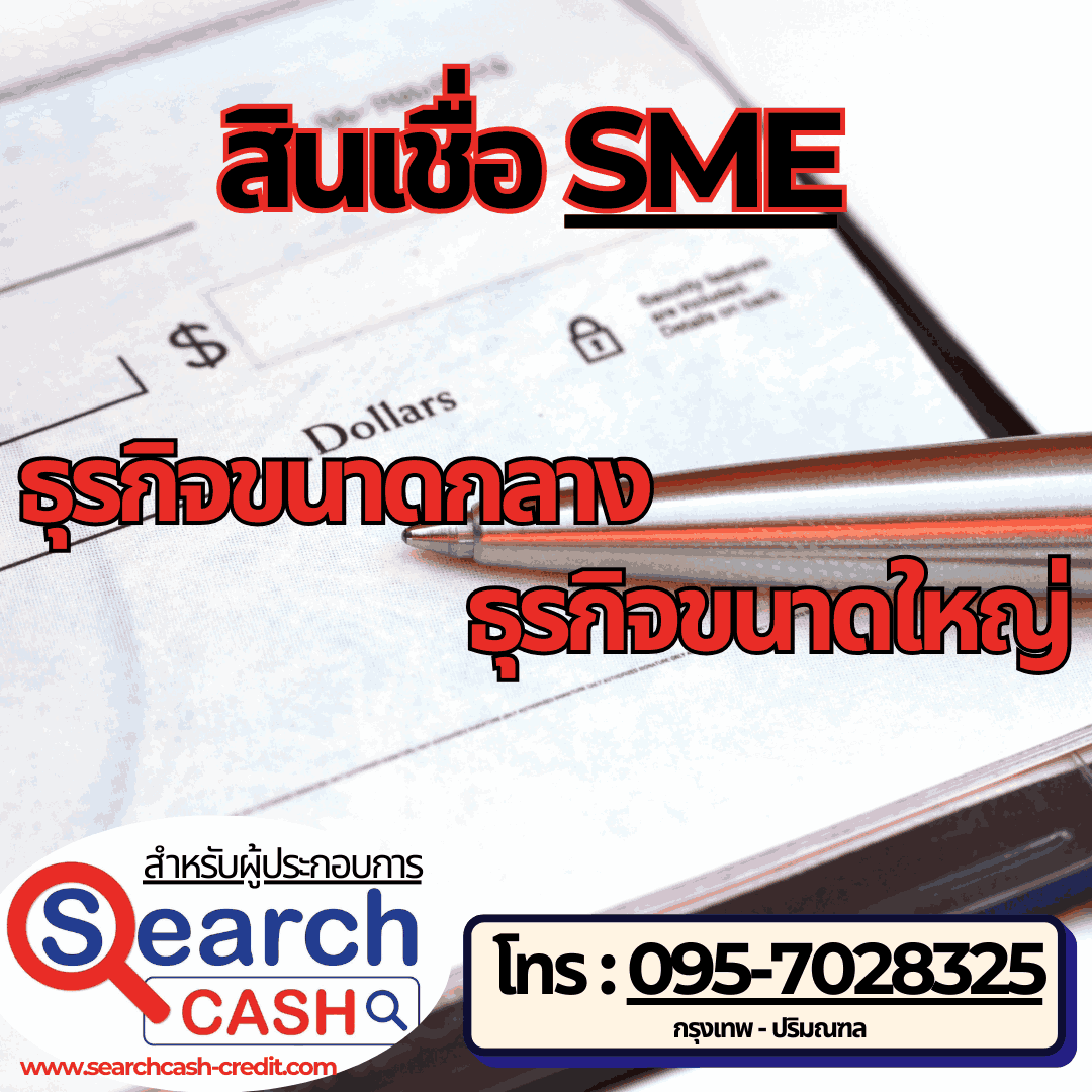 สินเชื่อ SME ธุรกิจขนาดกลางและธุรกิจขนาดใหญ่