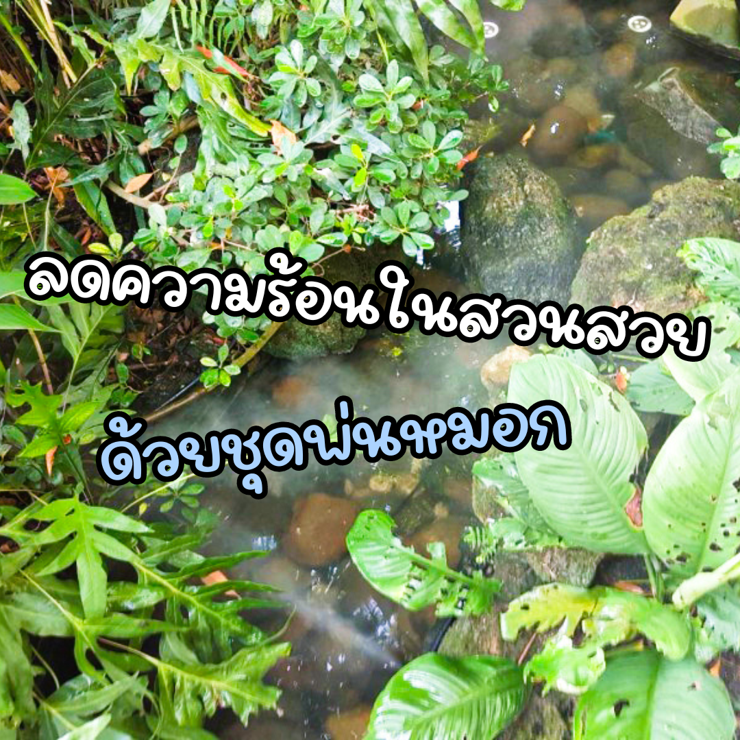 ลดความร้อนในสวนสวย...ด้วยชุดพ่นหมอก ลดความร้อนในสวนสวย...ด้วยชุดพ่นหมอก