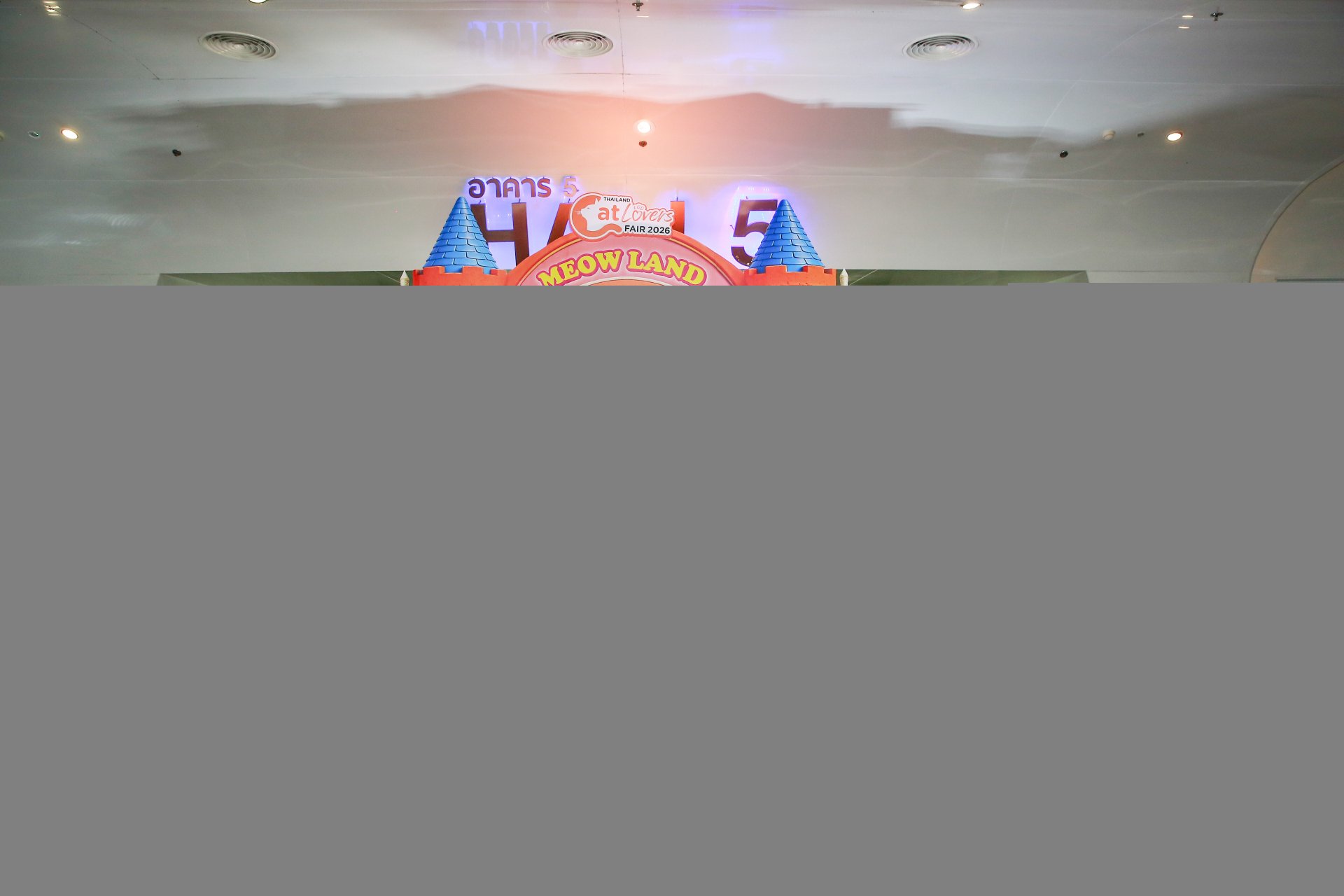 เริ่มแล้ว!!! มหกรรมสำหรับคนรักแมวที่ใหญ่ที่สุดแห่งปี