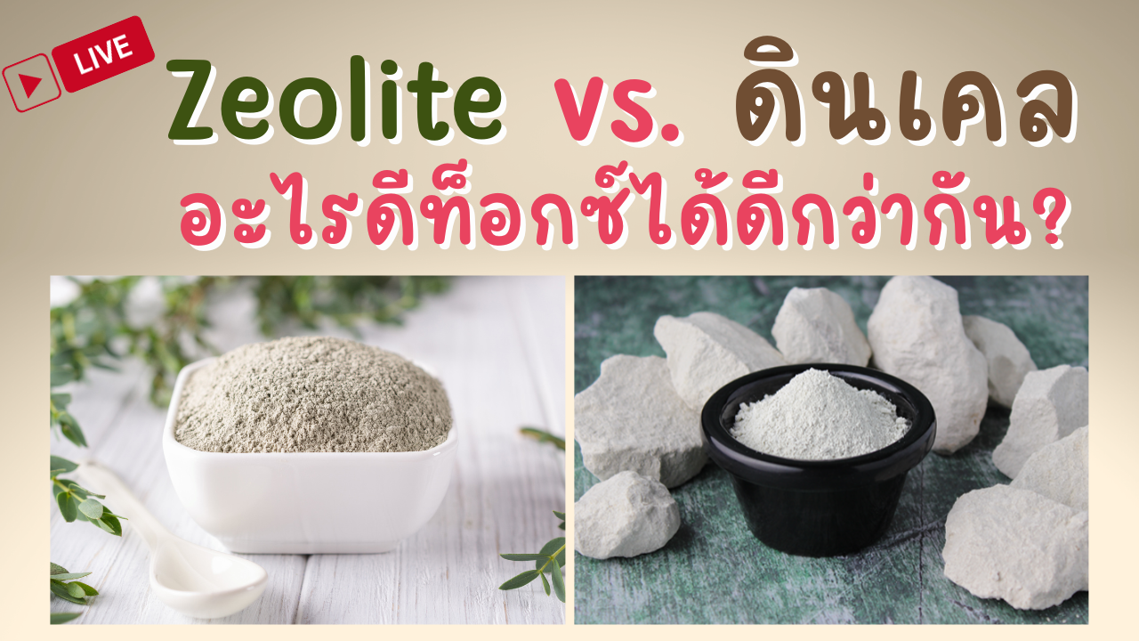 ซีโอไลต์ VS เคลย์ อะไรใช้ดีท็อกซ์โลหะหนักได้ดีกว่ากัน? ซีโอไลต์ VS เคลย์ อะไรใช้ดีท็อกซ์โลหะหนักได้ดีกว่ากัน?
