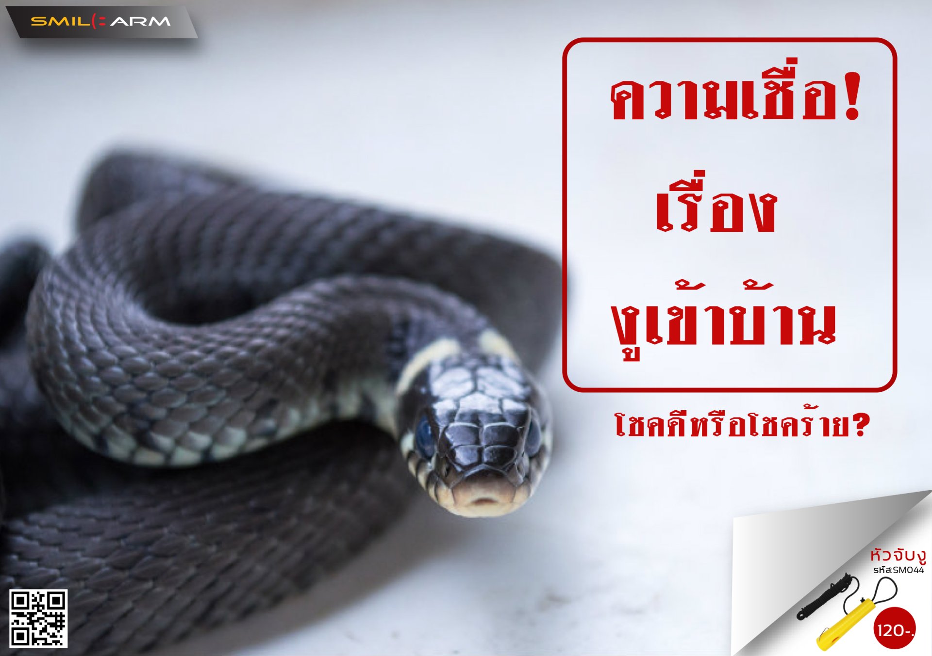 ความเชื่อเรื่องงูเข้าบ้าน ความเชื่อเรื่องงูเข้าบ้าน