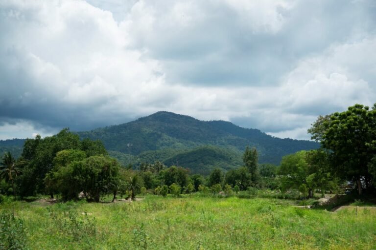 ‘วิลล่า ฟอเรสต์’ บ้านสวนคนเมือง ปอดธรรมชาติแห่งบ้านบึง สู่โลกธรรมชาติ เพื่อชีวิตวิถี-ดี