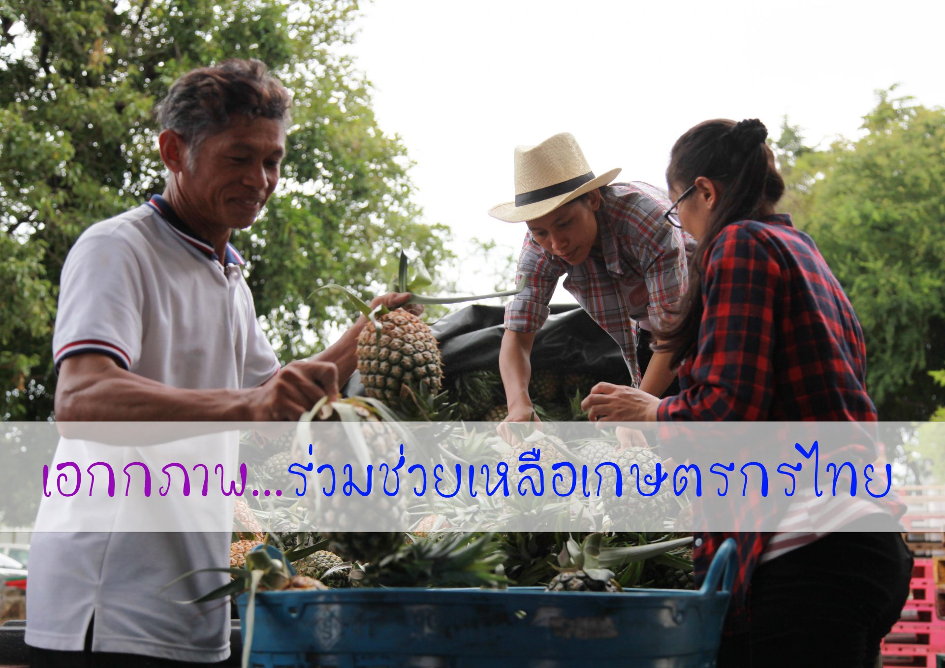 เอกภาพร่วมช่วยเหลือเกษตรกรไทย