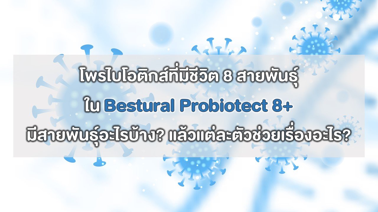 What Are Probiotics? Meet the 8 Superstar Strains in Bestural Probiotect 8+ What Are Probiotics? Meet the 8 Superstar Strains in Bestural Probiotect 8+