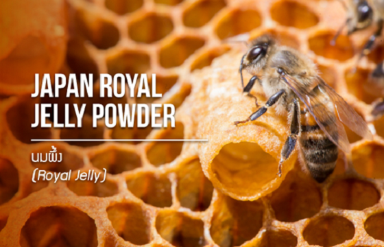 Royal Jelly Powder / นมผึ้ง