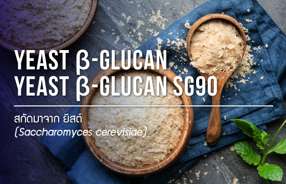Yeast beta glucan / ยีสต์ เบต้า กลูแคน Yeast beta glucan / ยีสต์ เบต้า กลูแคน