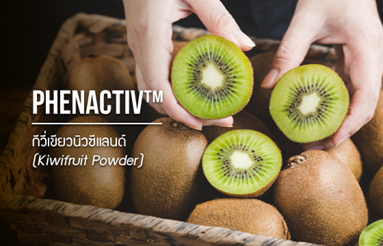 PhenActiv ™ / สารสกัดจากกีวี่เขียวปรับปรุงระบบย่อยอาหาร ย่อยโปรตีนให้เล็กลง PhenActiv ™ / สารสกัดจากกีวี่เขียวปรับปรุงระบบย่อยอาหาร ย่อยโปรตีนให้เล็กลง