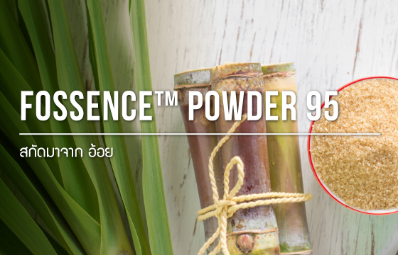 Fructo oligosaccharide / ฟรุกโต โอลิโกแซคคาไรด์ Fructo oligosaccharide / ฟรุกโต โอลิโกแซคคาไรด์