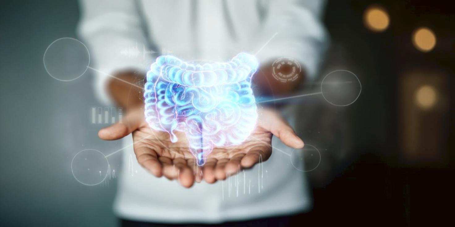 ลำไส้คือสมองที่สองของร่างกาย! ปรับสมดุลง่ายๆ เพื่อสุขภาพที่ดี ลำไส้คือสมองที่สองของร่างกาย! ปรับสมดุลง่ายๆ เพื่อสุขภาพที่ดี