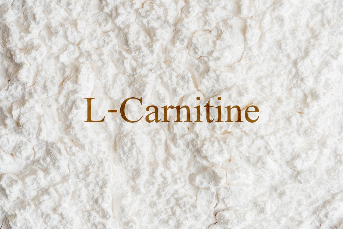 L-carnitine (Food Grade)  L-carnitine (Food Grade)