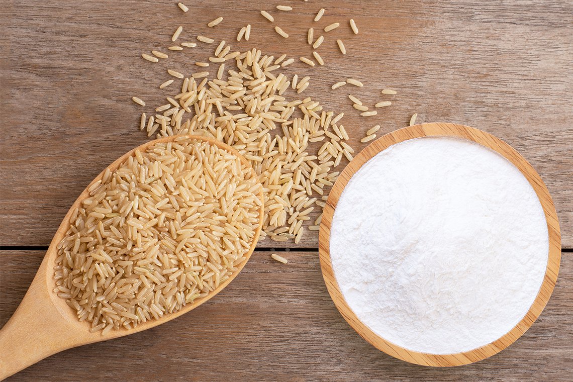 Rice Protein  Rice Protein