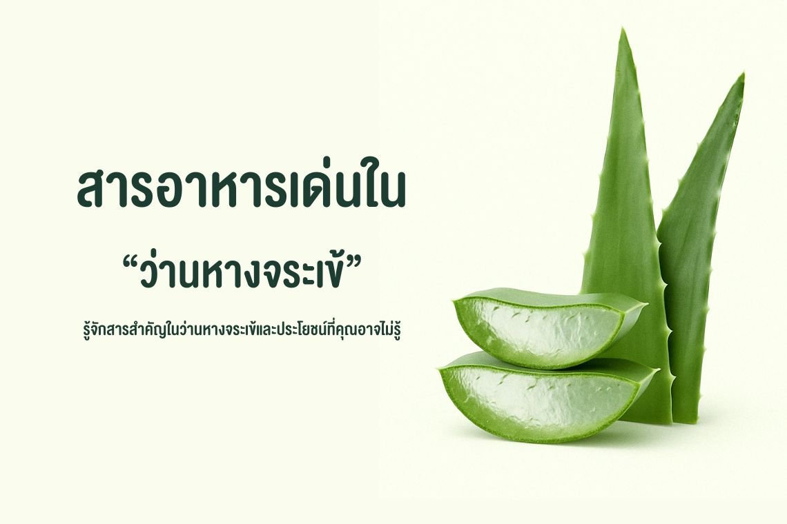 สารสำคัญในว่านหางจระเข้ และประโยชน์ที่คุณอาจไม่เคยรู้ สารสำคัญในว่านหางจระเข้ และประโยชน์ที่คุณอาจไม่เคยรู้