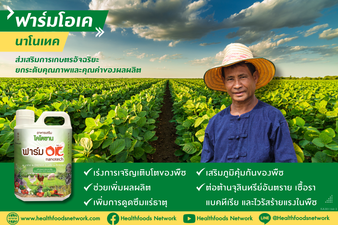 ฟาร์มโอเค ส่งเสริมการเกษตร ยกระดับคุณภาพและคุณค่าของผลผลิต ฟาร์มโอเค ส่งเสริมการเกษตร ยกระดับคุณภาพและคุณค่าของผลผลิต