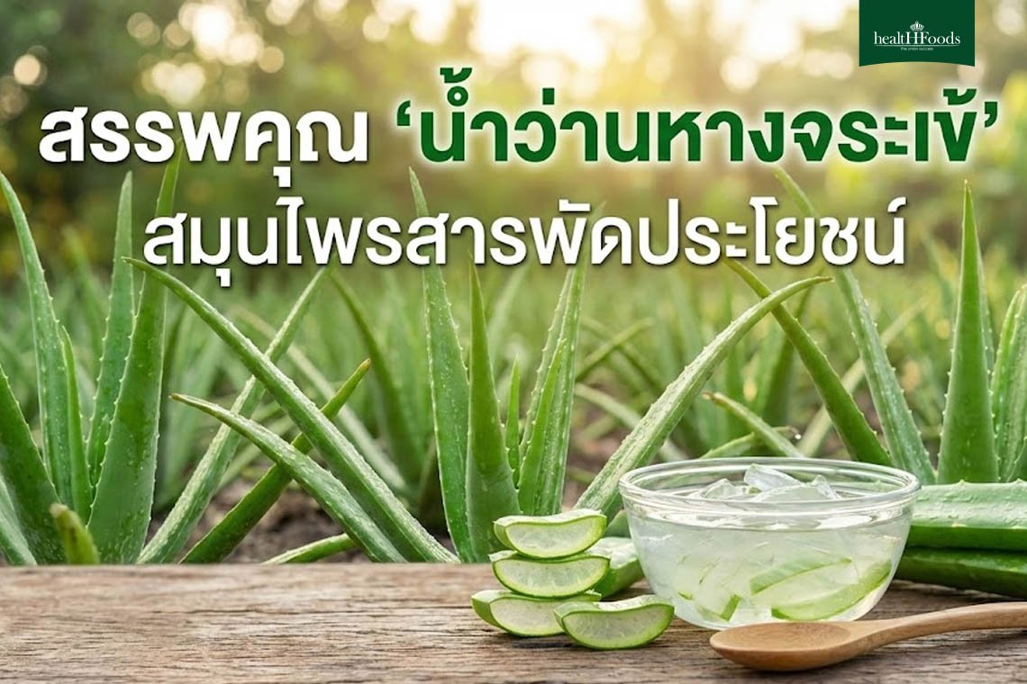 สรรพคุณ "น้ำว่านหางจระเข้" สมุนไพรสารพัดประโยชน์
