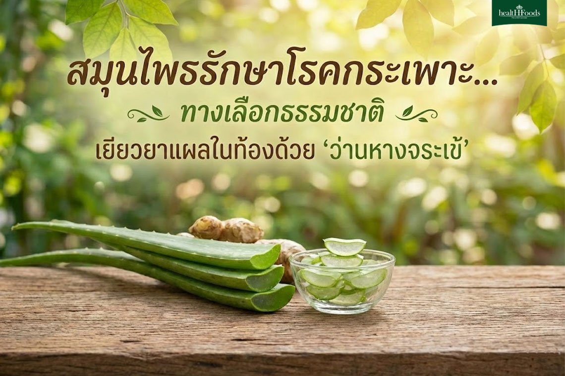 สมุนไพรรักษาโรคกระเพาะ...เยียวยาแผลในท้องด้วย "ว่านหางจระเข้"