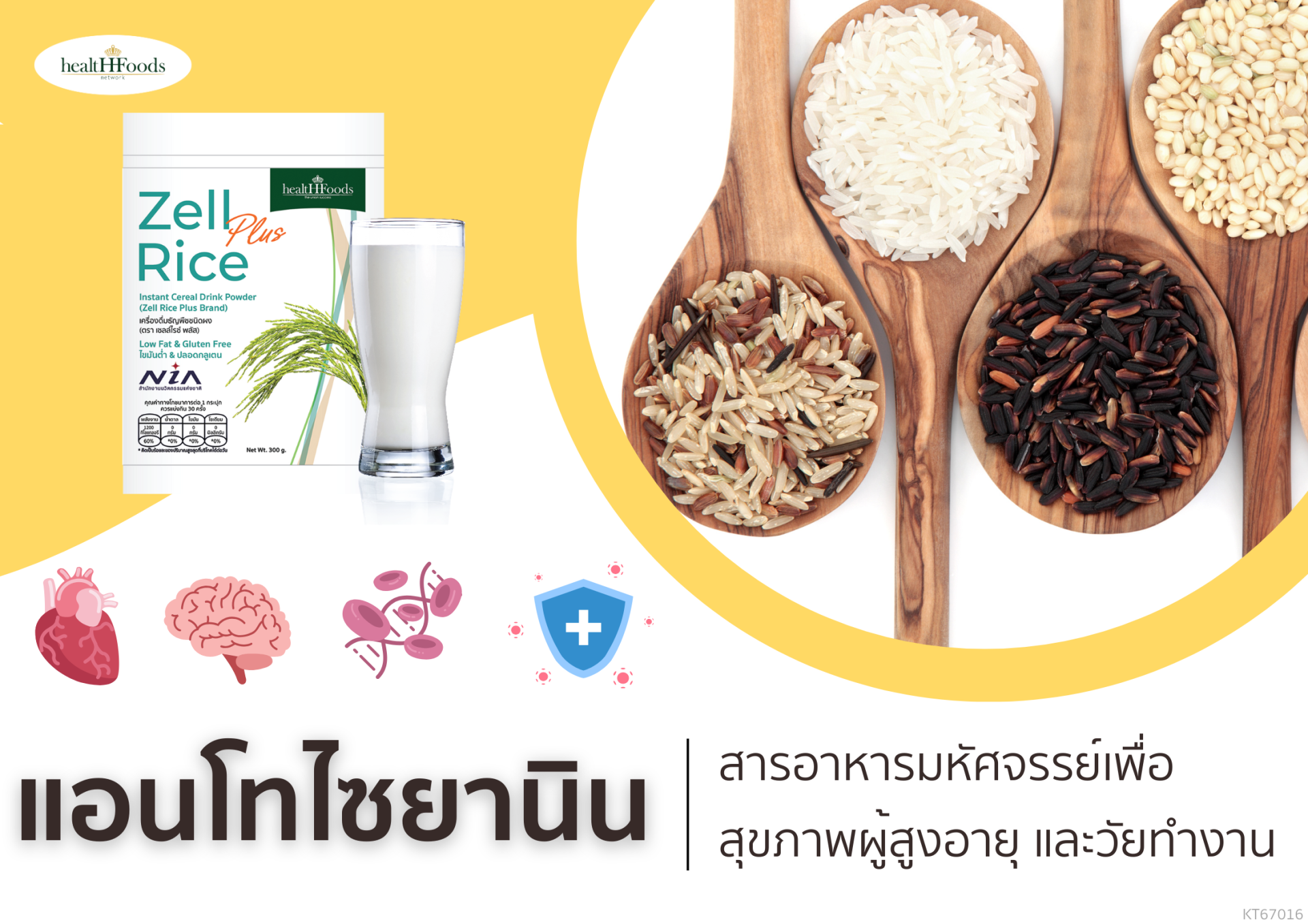 สารอาหารมหัศจรรย์เพื่อสุขภาพผู้สูงอายุ และวัยทำงาน  สารอาหารมหัศจรรย์เพื่อสุขภาพผู้สูงอายุ และวัยทำงาน