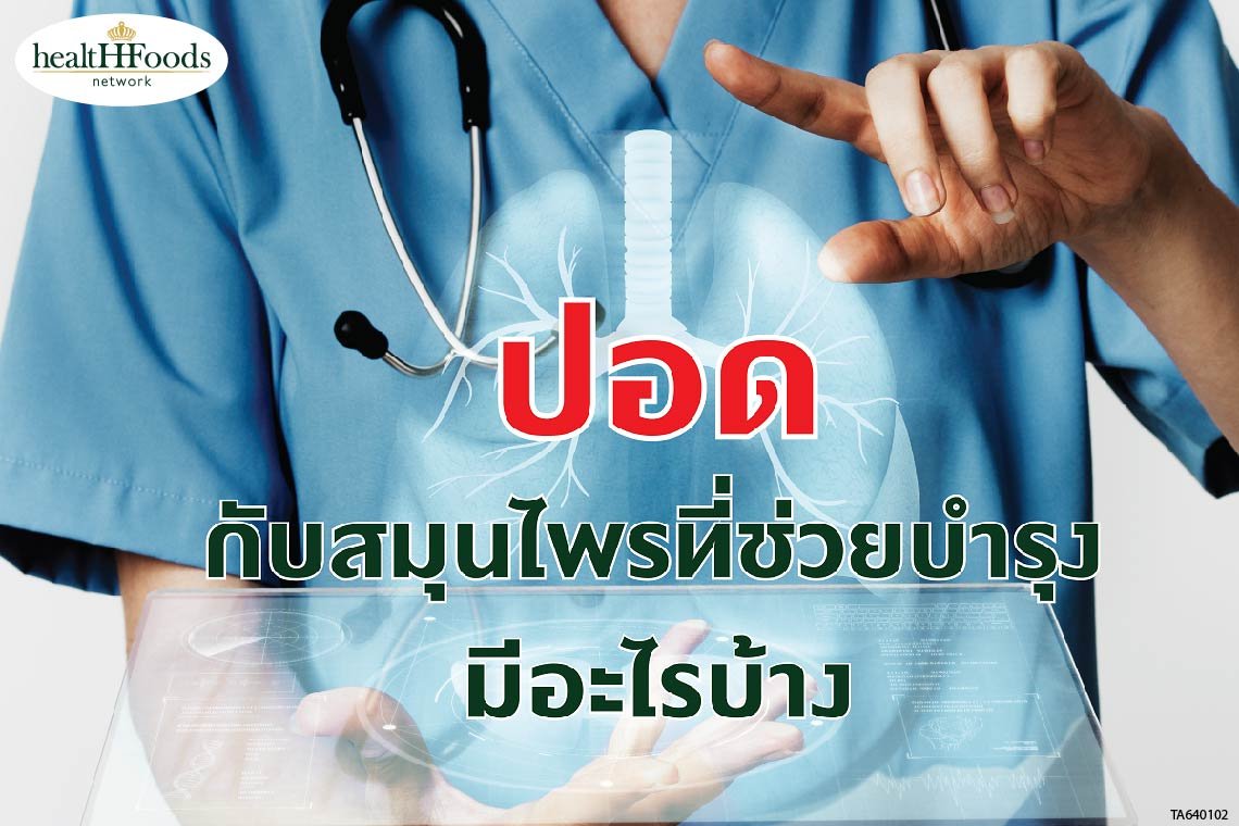 สมุนไพรบำรุงปอดให้แข็งแรง สมุนไพรบำรุงปอดให้แข็งแรง