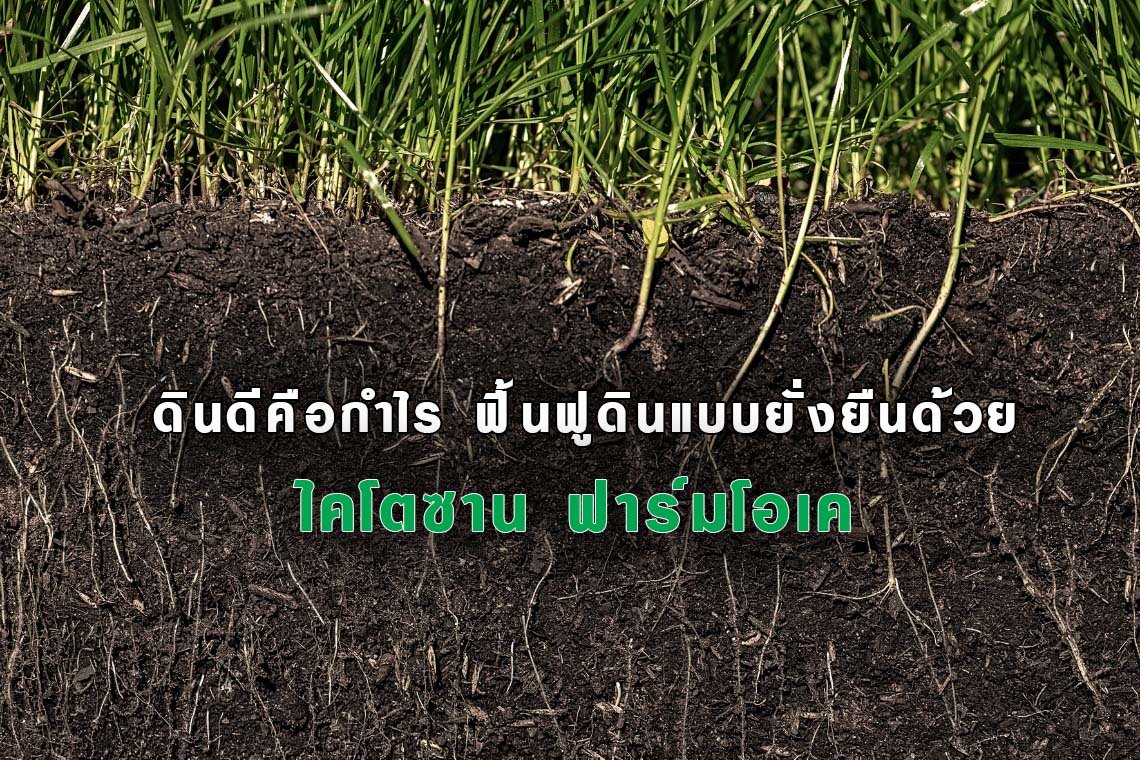 ดินดีคือกำไร ฟื้นฟูดินแบบยั่งยืนด้วยไคโตซาน ฟาร์มโอเค ดินดีคือกำไร ฟื้นฟูดินแบบยั่งยืนด้วยไคโตซาน ฟาร์มโอเค