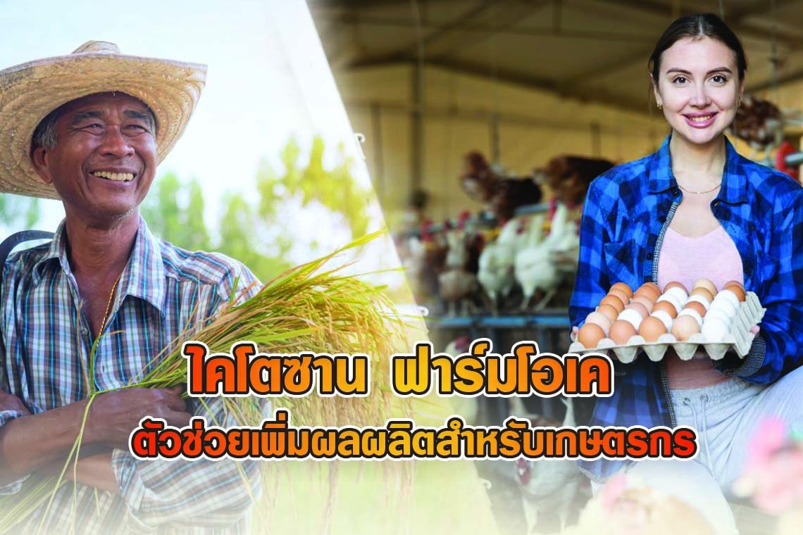 ไคโตซาน ฟาร์มโอเค: ตัวช่วยเพิ่มผลผลิตสำหรับเกษตรกร ไคโตซาน ฟาร์มโอเค: ตัวช่วยเพิ่มผลผลิตสำหรับเกษตรกร