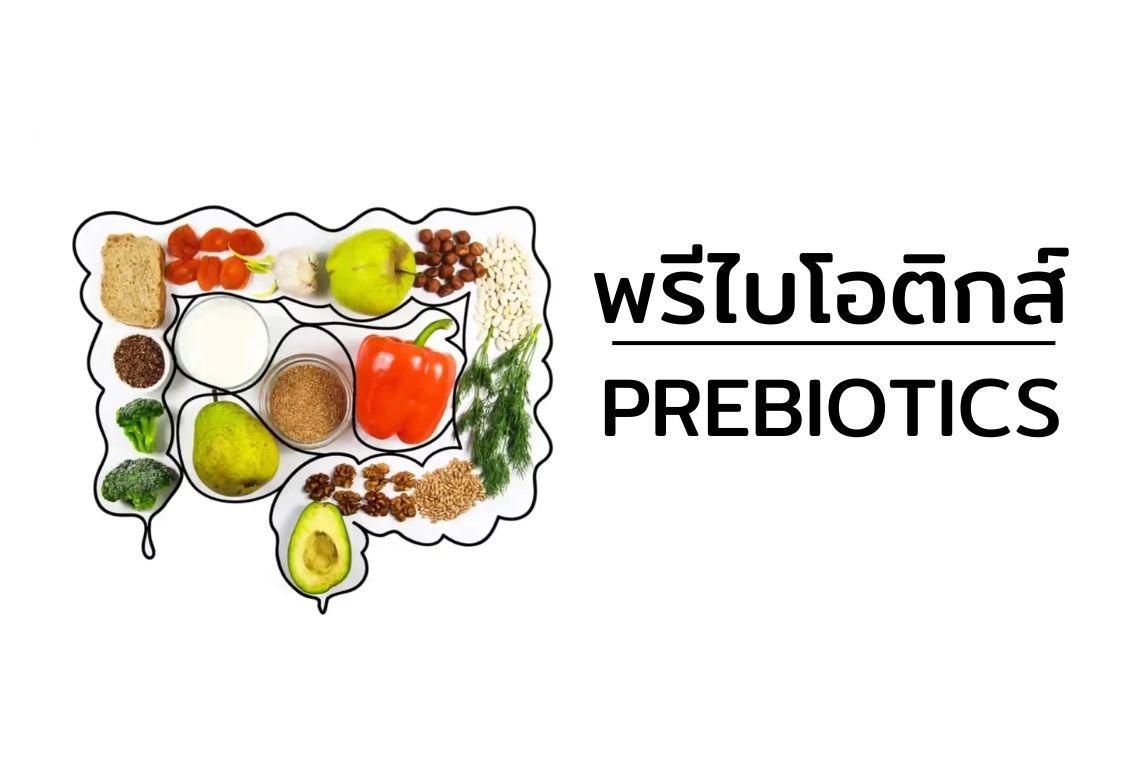 พรีไบโอติกส์ (Prebiotics)  คืออะไร? สำคัญอย่างไร? พรีไบโอติกส์ (Prebiotics)  คืออะไร? สำคัญอย่างไร?