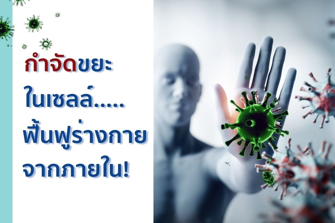 รู้ไหม? โรคร้ายหลายอย่างเริ่มจาก ขยะ ในเซลล์ของคุณ!  รู้ไหม? โรคร้ายหลายอย่างเริ่มจาก ขยะ ในเซลล์ของคุณ!