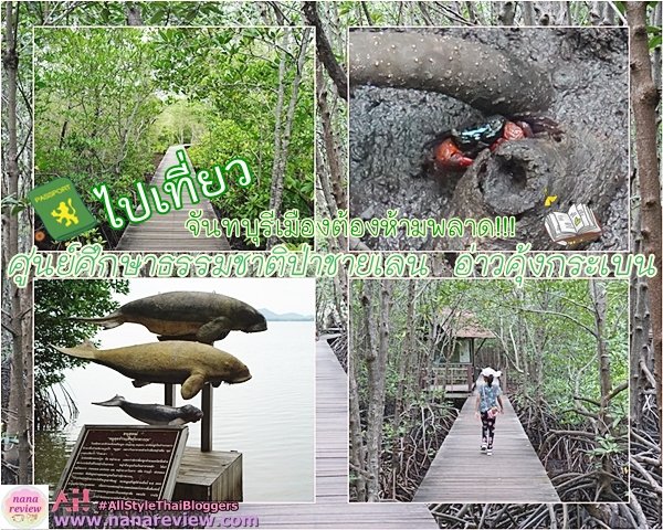 ศูนย์ศึกษาธรรมชาติป่าชายเลน อ่าวคุ้งกระเบน จันทบุรี