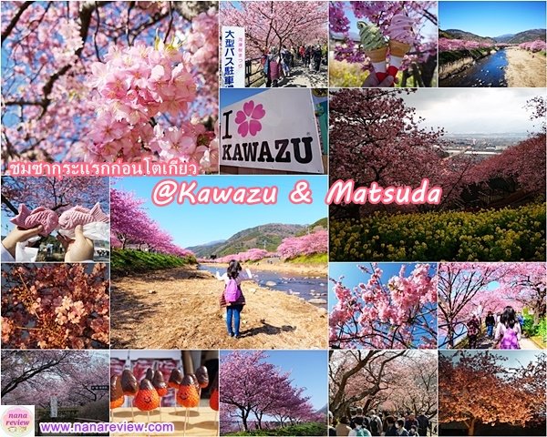 Kawazu and Matsuda Sakura Festival