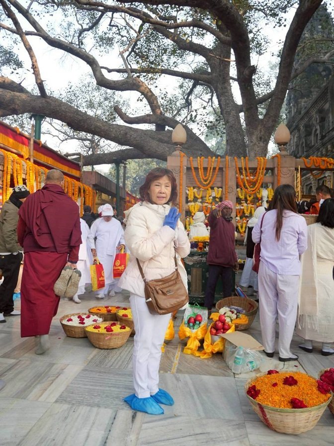 ต้นพระศรีมหาโพธิ อินเดีย