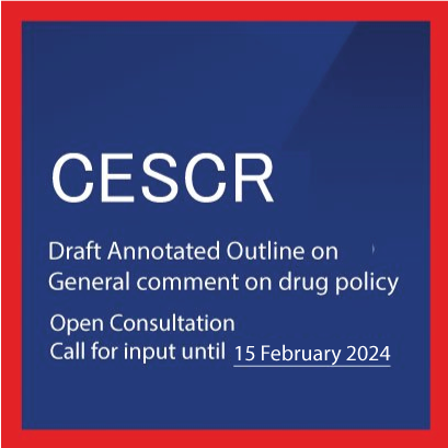 CESCR Drug Policy Annotated Outline Consultation