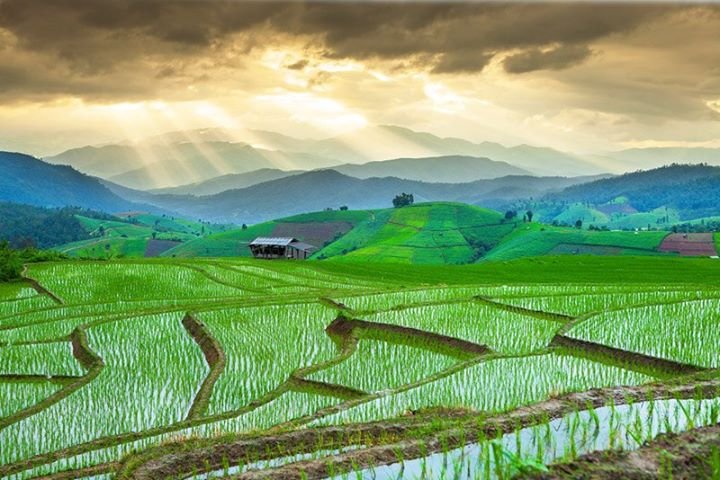 อ.แม่แจ่ม เชียงใหม่ อ.แม่แจ่ม เชียงใหม่