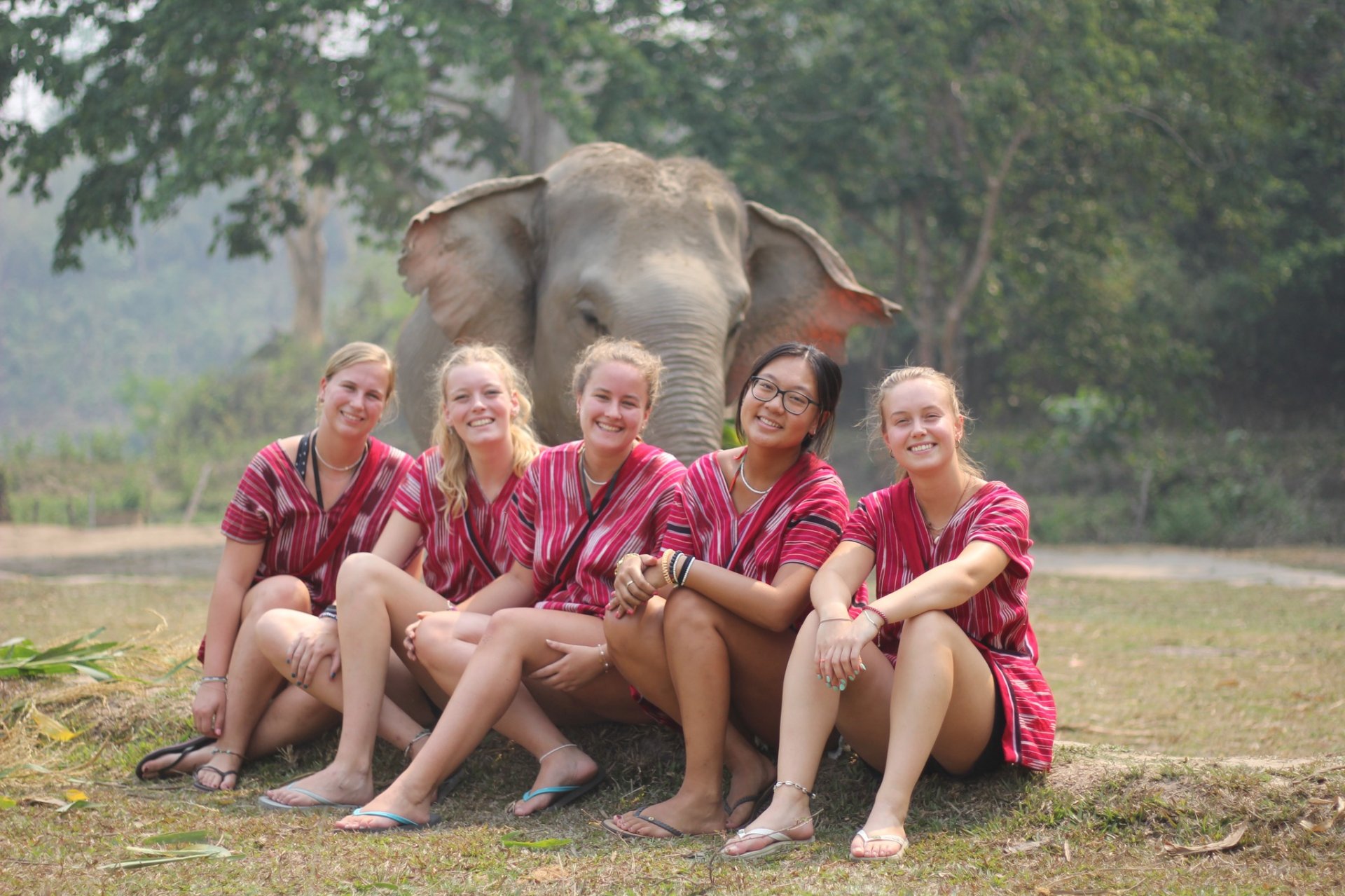 Karen Hilltribe Elephant Sanctuary（下午半天）