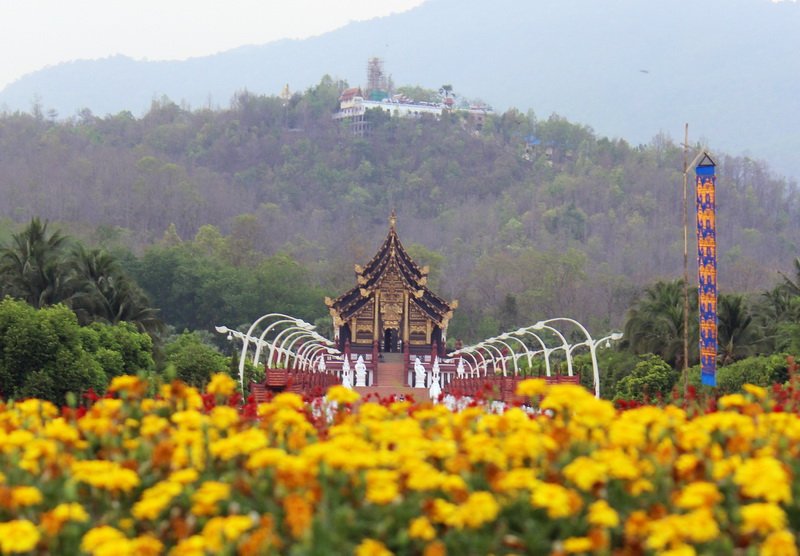 Transfer service to Royal Flora Rachapruk + Chiang Mai Night Safari