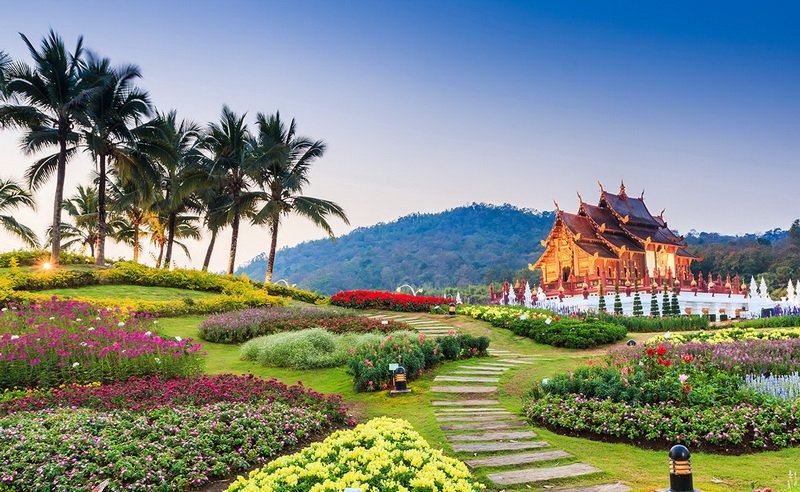 Transfer service to Royal Flora Rachapruk + Khaomao Khaofang + Chiang Mai Night Safari