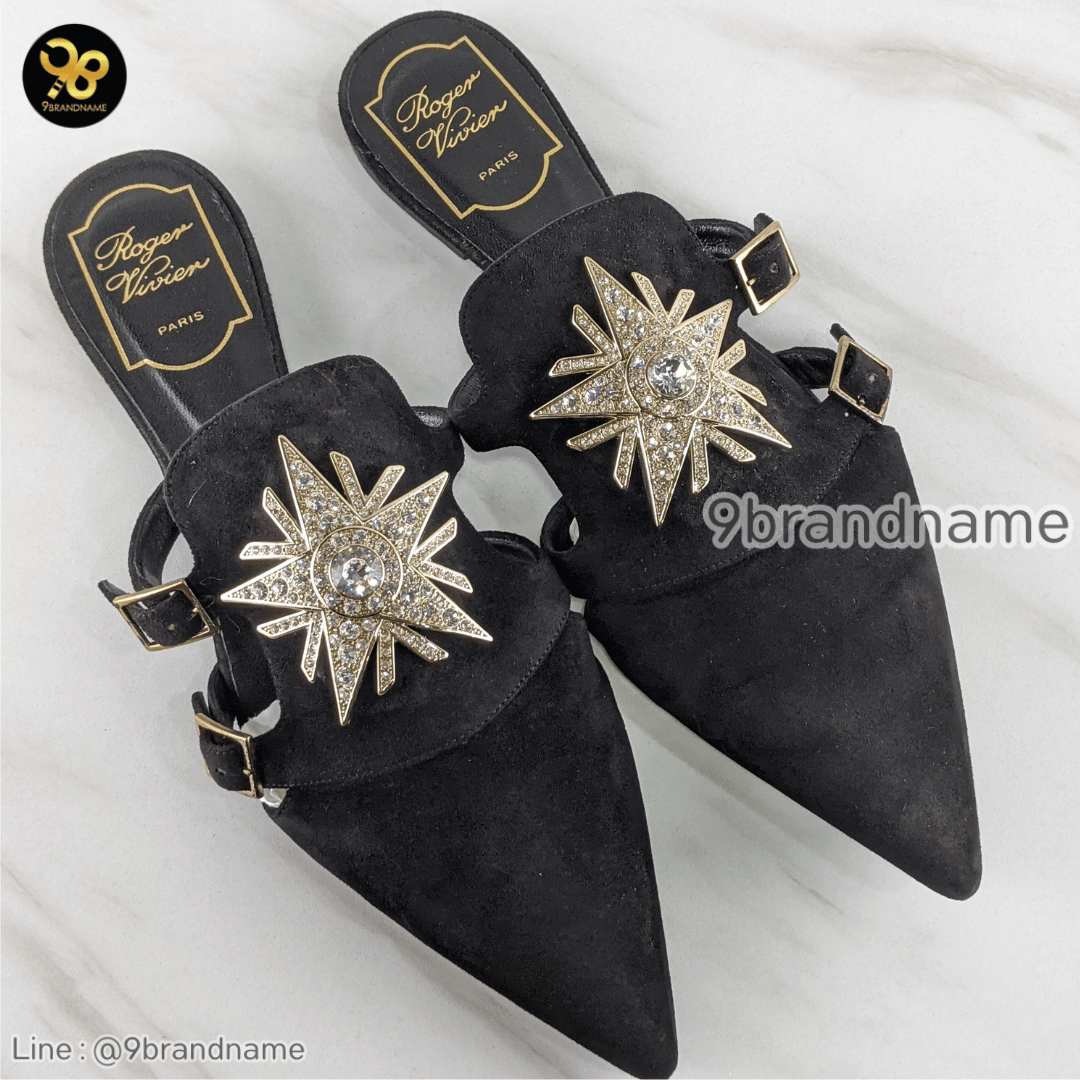 Roger Vivier Suede Mule Star Strass Velvet Black Crystal Mules