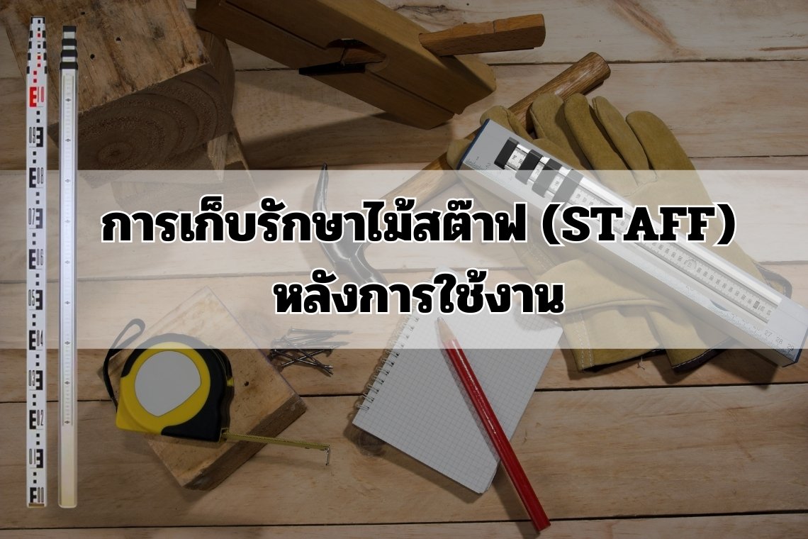 การเก็บรักษาไม้สต๊าฟ (Staff) หลังการใช้งาน